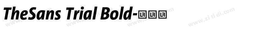 TheSans Trial Bold字体转换
